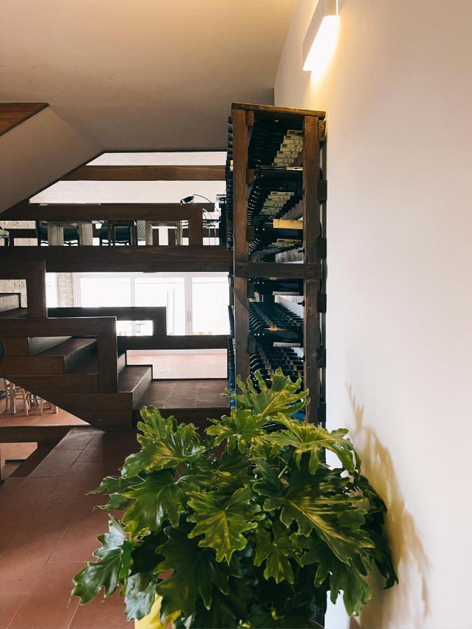 Casa Di Palaia Pensión *